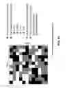Fig. 72 - Holographic wide angle display