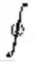 Fig. 02 - Rotating point-spread function (PSF) design for three-dimensional imaging