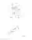 Fig. 04 - Spectacle frames
