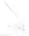 Fig. 07 - Spectacle frames