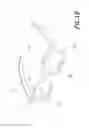Fig. 03 - Eyeglasses Structure Enabling Image Enhancement
