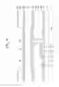 Fig. 20 - LIQUID CRYSTAL DISPLAY AND MANUFACTURING METHOD THEREOF