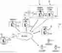 Fig. 01 - Systems and Methods for Generating Donations From Payment Account Transactions