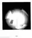 Fig. 02 - Image processing method and apparatus