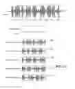 Fig. 02 - Annotating Notes From Passive Recording With User Data