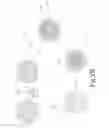 Fig. 04 - Isotope-specific separation and vitrification