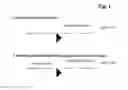 Fig. 02 - METHOD FOR STRUCTURING A TRANSPARENT CONDUCTIVE MATRIX COMPRISING NANO MATERIALS
