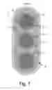 Fig. 08 - CABLE FOR DOWNHOLE EQUIPMENT