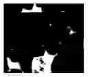 Fig. 01 - R-Fe—B sintered magnet and making method