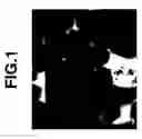 Fig. 02 - R-Fe—B sintered magnet and making method