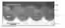 Fig. 01 - Stress-induced bandgap-shifted semiconductor photoelectrolytic/photocatalytic/photovoltaic surface and method for making same