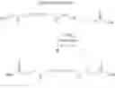 Fig. 07 - Fluorinated alkali ion electrolytes with urethane groups