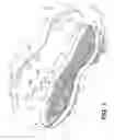 Fig. 02 - Article of footwear with sole structure having frusto-conical structures