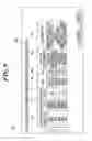 Fig. 09 - RADIOGRAPHIC IMAGE CAPTURING SYSTEM