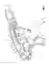 Fig. 06 - Endoscopic surgical clip applier