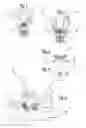 Fig. 02 - Process for producing superstructures for dental prostheses by stratification on preformed elements