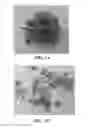 Fig. 02 - Sublingual Cannabis Dosage Form and Method of Making and Using the Same