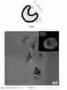 Fig. 02 - Cavitation-inducing polymeric nanoparticles