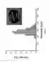Fig. 04 - Cavitation-inducing polymeric nanoparticles
