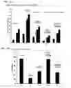 Fig. 28 - Surface binding of nanoparticle based drug delivery to tissue