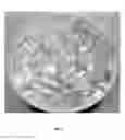 Fig. 02 - Stable liquid filled hard capsule comprising beta-hydroxy-beta methylbutyric acid