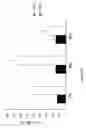 Fig. 05 - Methods and Pharmaceutical Compositions for Treatment of Cystic Fibrosis