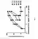 Fig. 02 - 7-AZONIABICYCLO[2.2.1]HEPTANE DERIVATIVES, METHODS OF PRODUCTION, AND PHARMACEUTICAL USES THEREOF