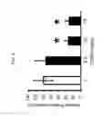 Fig. 07 - Treating Bacterial Infections of the Lung