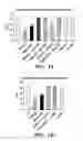 Fig. 02 - Treatment of left ventricular non-compaction and dilated cardiomyopathy by inhibiting melanocortin receptor four