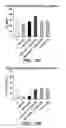 Fig. 09 - Treatment of left ventricular non-compaction and dilated cardiomyopathy by inhibiting melanocortin receptor four