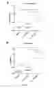 Fig. 02 - A RHO GTPASE ACTIVATOR FOR USE AS ANTIMICROBIAL AGENT
