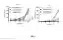 Fig. 04 - Peptide having angiogenesis inhibitory activity and composition containing same