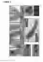 Fig. 03 - Production of magnetic nanoparticles in recombinant host cells