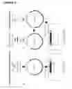Fig. 05 - Production of magnetic nanoparticles in recombinant host cells