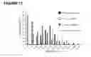 Fig. 16 - Production of magnetic nanoparticles in recombinant host cells