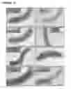 Fig. 17 - Production of magnetic nanoparticles in recombinant host cells