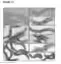 Fig. 19 - Production of magnetic nanoparticles in recombinant host cells