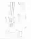 Fig. 07 - Disengagable head restraint apparatus