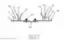 Fig. 06 - Daneshvar carrier means and methods IV