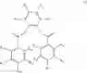 Fig. 02 - Procatalyst particles and polymerization process for impact copolymers