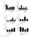 Fig. 02 - Compositions and methods for producing and administering brown adipocytes