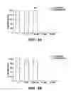Fig. 07 - Synergistic genome-nonintegrating reprogramming by microRNAs and transcription factors