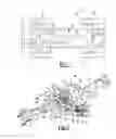 Fig. 02 - Axle assembly with retaining member for securing differential bearing adjusters to axle housing