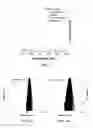 Fig. 02 - Specific detection and quantification of cardiolipin and isolated mitochondria by positively charged AIE fluorogens and method of manufacturing thereof
