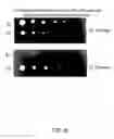 Fig. 18 - Methods and systems for fluorescence detection