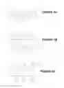 Fig. 02 - Raman scattering nanoprobes