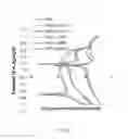 Fig. 06 - DIAGNOSTIC METHOD AND DEVICE FOR ASSESSING HUMAN JOINT FLUID REACTIVITY TO CoCrMo ALLOY