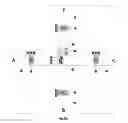 Fig. 09 - APTAMER-GATED NANOPARTICLES FOR LATERAL FLOW ASSAYS