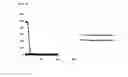 Fig. 06 - Method for preparing liquid crystal capsule