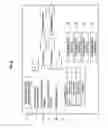 Fig. 09 - Waveform display device having function of acquiring data related to driving axis of machine tool